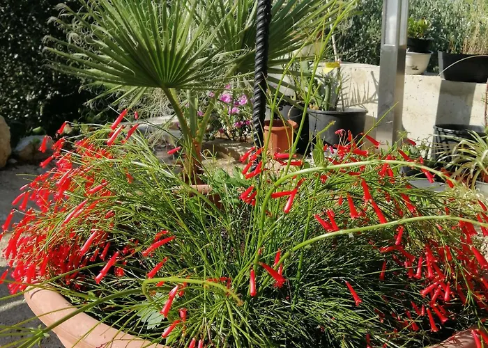Apartamento Stella Mare Tučepi