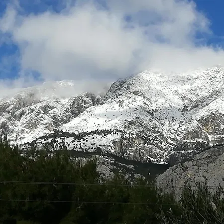 Lejlighed Stella Mare