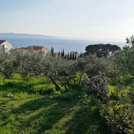 Stella Mare Apartament *
